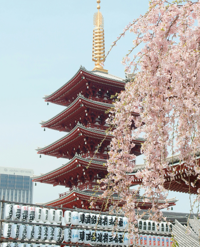 yu-kato-cddaZDt6uRw-unsplash-1.png yu-kato-cddaZDt6uRw-unsplash-1.png